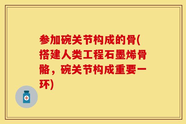 参加碗关节构成的骨(搭建人类工程石墨烯骨骼，碗关节构成重要一环)