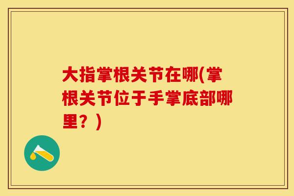大指掌根关节在哪(掌根关节位于手掌底部哪里？)