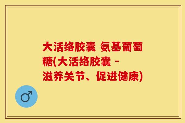 大活络胶囊 氨基葡萄糖(大活络胶囊 - 滋养关节、促进健康)