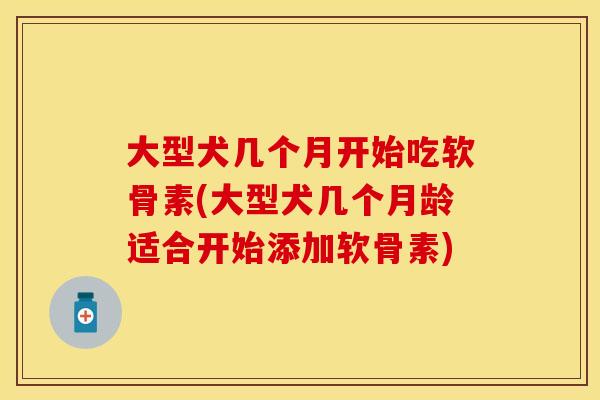 大型犬几个月开始吃软骨素(大型犬几个月龄适合开始添加软骨素)