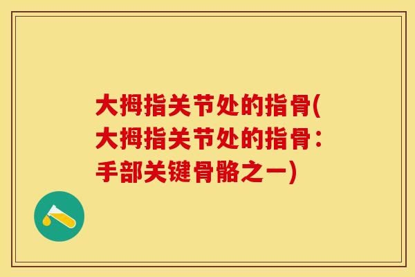 大拇指关节处的指骨(大拇指关节处的指骨：手部关键骨骼之一)