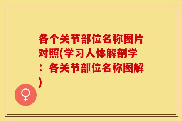 各个关节部位名称图片对照(学习人体解剖学：各关节部位名称图解)