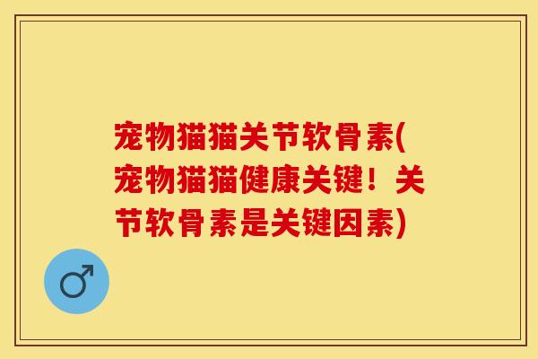 宠物猫猫关节软骨素(宠物猫猫健康关键！关节软骨素是关键因素)