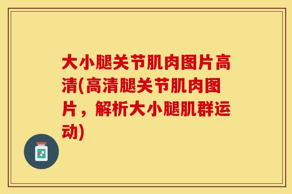 大小腿关节肌肉图片高清(高清腿关节肌肉图片，解析大小腿肌群运动)