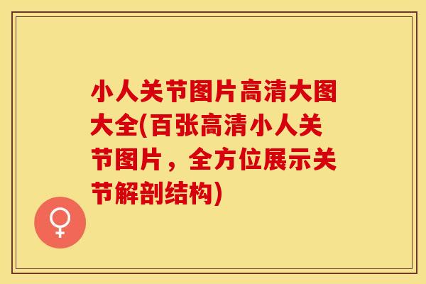 小人关节图片高清大图大全(百张高清小人关节图片,全方位展示关节解剖结构) 小人关节图片高清大图大全(百张高清小人关节图片,全方位展示关节解剖结构)