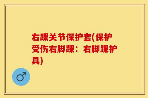 右踝关节保护套(保护受伤右脚踝:右脚踝护具) 右踝关节保护套(保护受伤右脚踝:右脚踝护具)