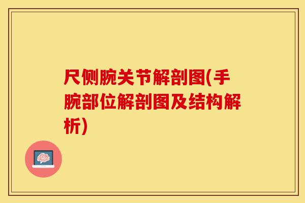 尺侧腕关节解剖图(手腕部位解剖图及结构解析)