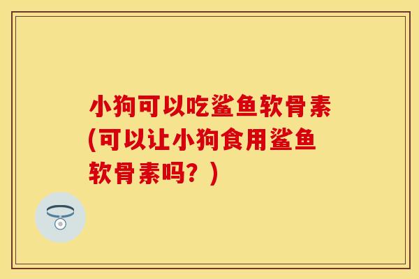 小狗可以吃鲨鱼软骨素(可以让小狗食用鲨鱼软骨素吗?) 小狗可以吃鲨鱼软骨素(可以让小狗食用鲨鱼软骨素吗?)