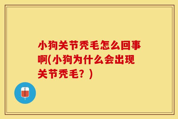 小狗关节秃毛怎么回事啊(小狗为什么会出现关节秃毛？)