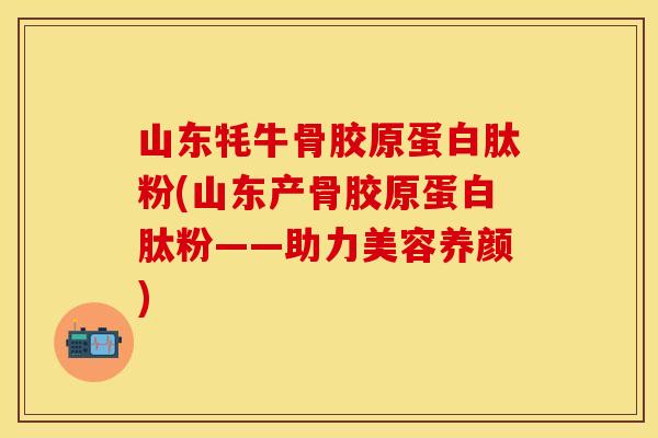 山东牦牛骨胶原蛋白肽粉(山东产骨胶原蛋白肽粉——助力美容养颜)