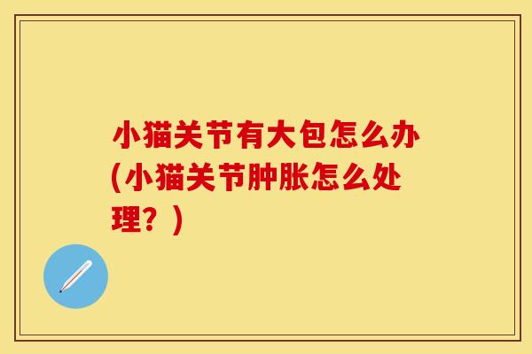 小猫关节有大包怎么办(小猫关节怎么处理？)