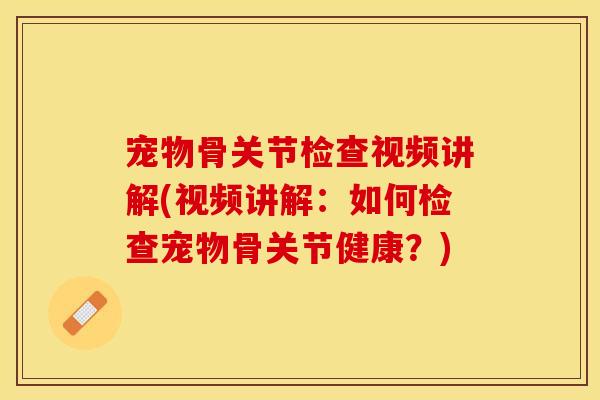 宠物骨关节检查视频讲解(视频讲解：如何检查宠物骨关节健康？)