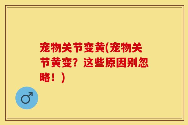 宠物关节变黄(宠物关节黄变？这些原因别忽略！)