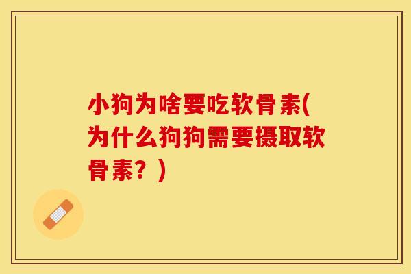 小狗为啥要吃软骨素(为什么狗狗需要摄取软骨素？)