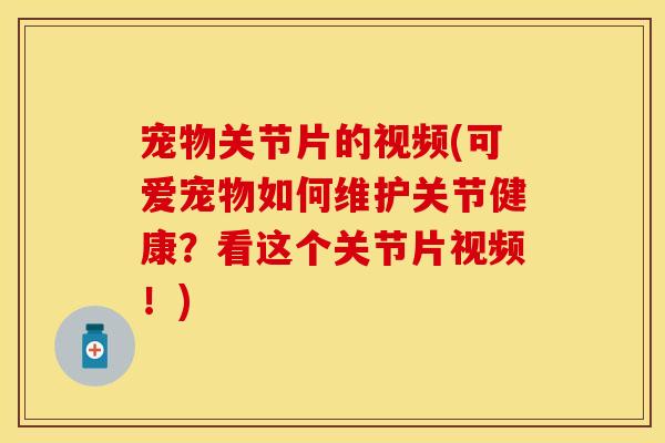 宠物关节片的视频(可爱宠物如何维护关节健康？看这个关节片视频！)