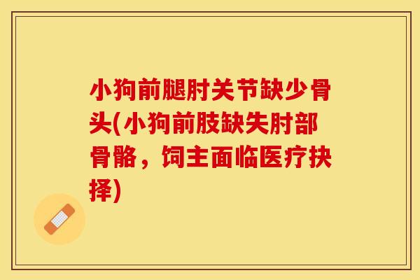 小狗前腿肘关节缺少骨头(小狗前肢缺失肘部骨骼，饲主面临医疗抉择)