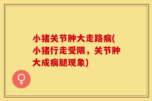 小猪关节肿大走路瘸(小猪行走受限，关节肿大成瘸腿现象)