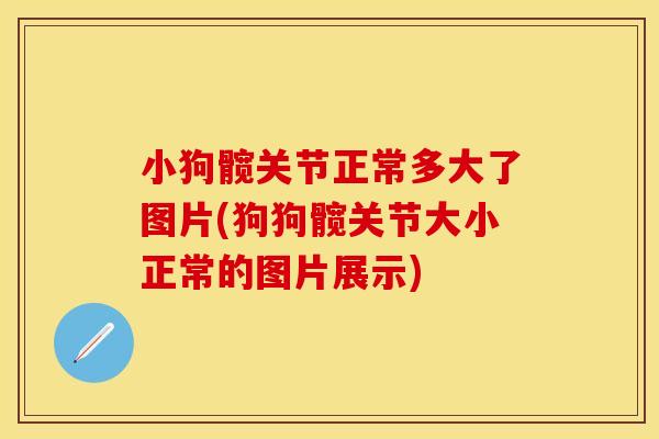 小狗髋关节正常多大了图片(狗狗髋关节大小正常的图片展示)