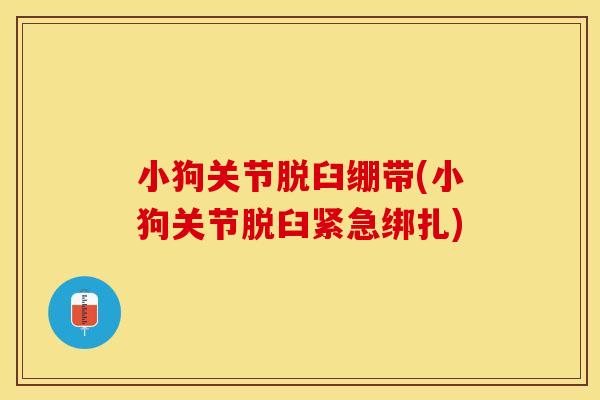小狗关节脱臼绷带(小狗关节脱臼紧急绑扎)