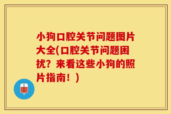 小狗口腔关节问题图片大全(口腔关节问题困扰?来看这些小狗的照片指南!) 小狗口腔关节问题图片大全(口腔关节问题困扰?来看这些小狗的照片指南!)