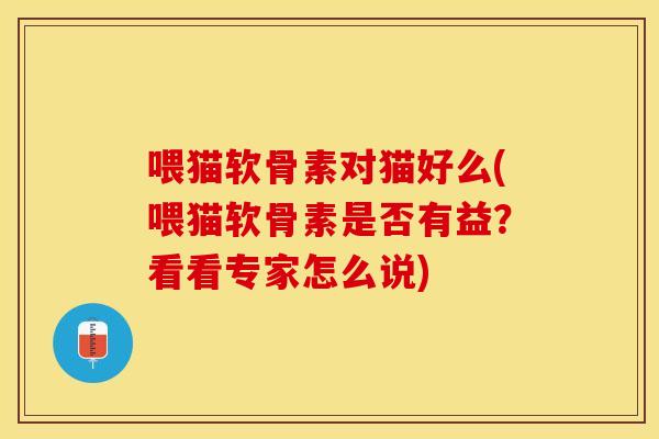 喂猫软骨素对猫好么(喂猫软骨素是否有益？看看专家怎么说)
