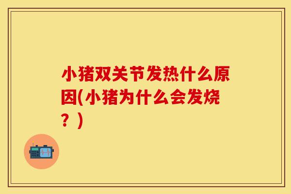 小猪双关节发热什么原因(小猪为什么会发烧？)
