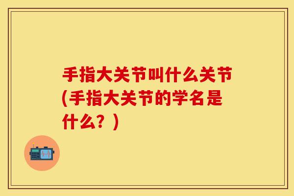 手指大关节叫什么关节(手指大关节的学名是什么？)