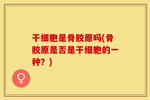 干细胞是骨胶原吗(骨胶原是否是干细胞的一种?) 干细胞是骨胶原吗(骨胶原是否是干细胞的一种?)