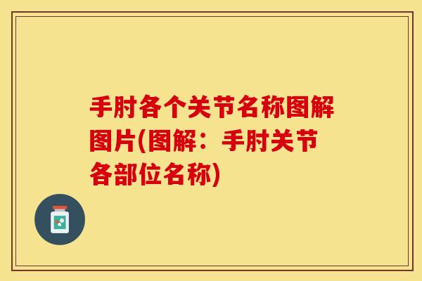手肘各个关节名称图解图片(图解：手肘关节各部位名称)