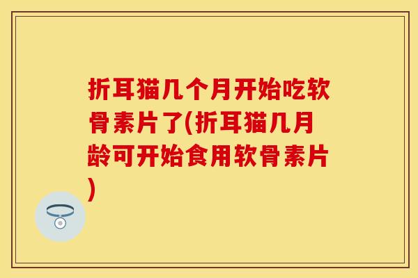 折耳猫几个月开始吃软骨素片了(折耳猫几月龄可开始食用软骨素片)