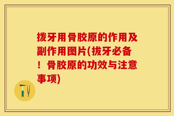 拨牙用骨胶原的作用及副作用图片(拔牙必备！骨胶原的功效与注意事项)