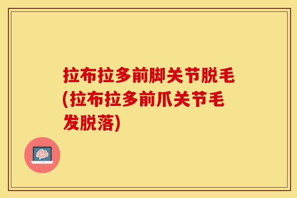 拉布拉多前脚关节脱毛(拉布拉多前爪关节毛发脱落)