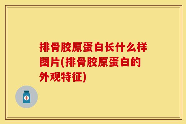 排骨胶原蛋白长什么样图片(排骨胶原蛋白的外观特征)