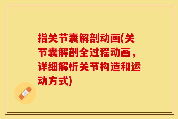 指关节囊解剖动画(关节囊解剖全过程动画，详细解析关节构造和运动方式)