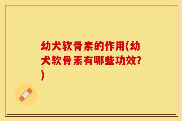 幼犬软骨素的作用(幼犬软骨素有哪些功效？)