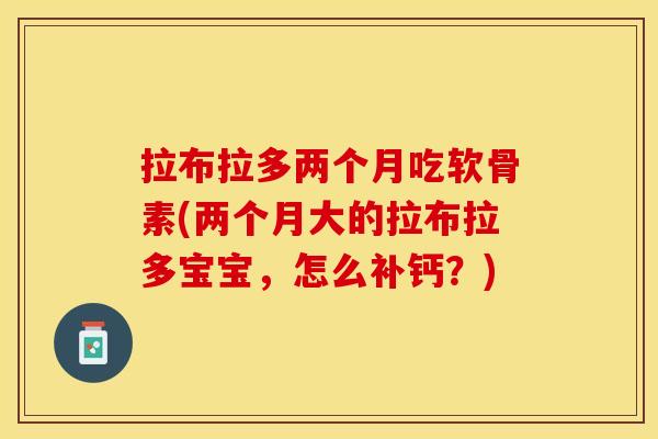 拉布拉多两个月吃软骨素(两个月大的拉布拉多宝宝，怎么补钙？)
