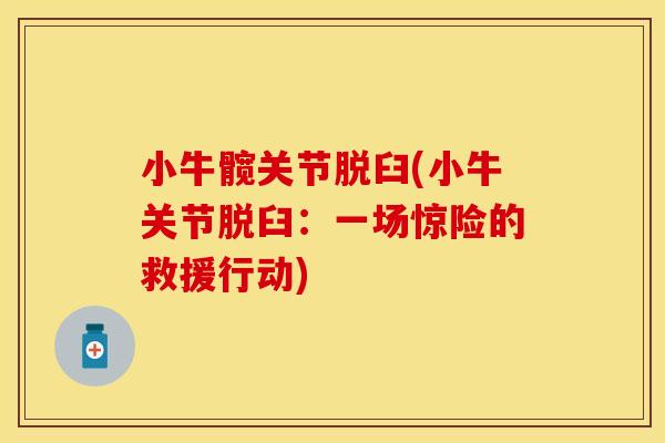 小牛髋关节脱臼(小牛关节脱臼：一场惊险的救援行动)