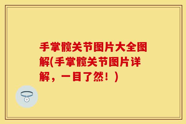 手掌髋关节图片大全图解(手掌髋关节图片详解，一目了然！)