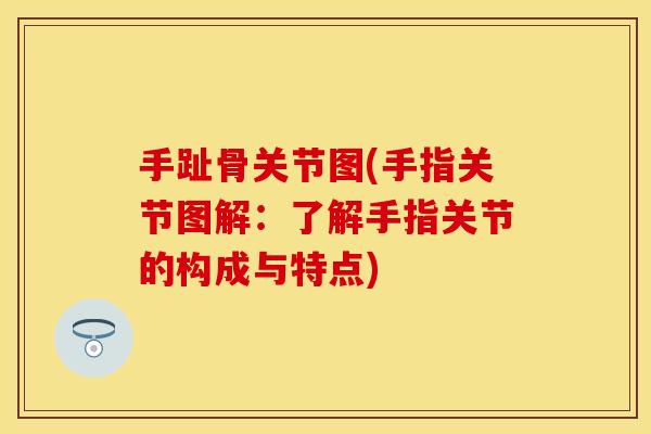 手趾骨关节图(手指关节图解：了解手指关节的构成与特点)