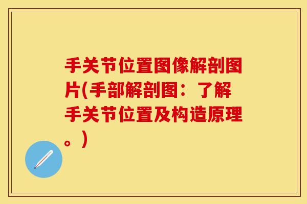 手关节位置图像解剖图片(手部解剖图：了解手关节位置及构造原理。)