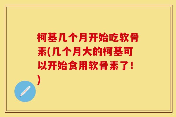 柯基几个月开始吃软骨素(几个月大的柯基可以开始食用软骨素了！)