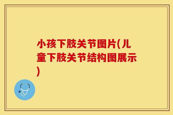小孩下肢关节图片(儿童下肢关节结构图展示)