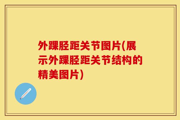 外踝胫距关节图片(展示外踝胫距关节结构的精美图片) 外踝胫距关节图片(展示外踝胫距关节结构的精美图片)