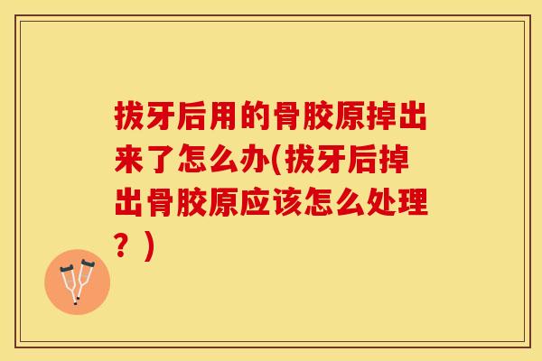 拔牙后用的骨胶原掉出来了怎么办(拔牙后掉出骨胶原应该怎么处理？)