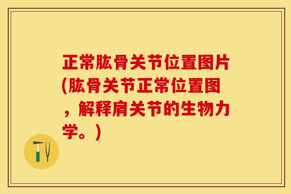 正常肱骨关节位置图片(肱骨关节正常位置图，解释肩关节的生物力学。)