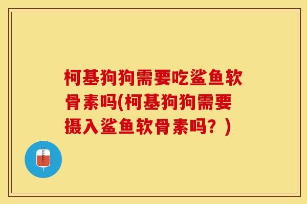 柯基狗狗需要吃鲨鱼软骨素吗(柯基狗狗需要摄入鲨鱼软骨素吗？)