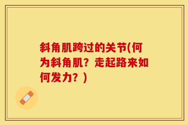 斜角肌跨过的关节(何为斜角肌？走起路来如何发力？)