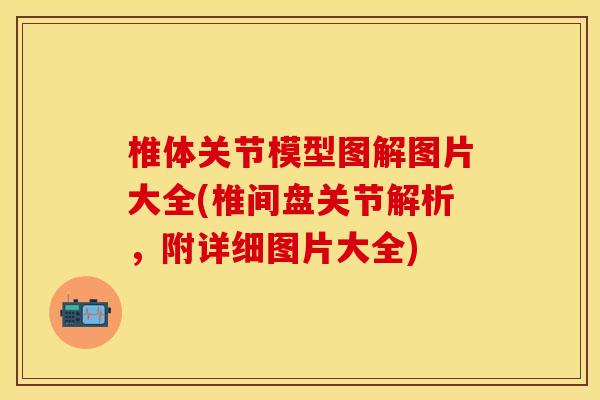 椎体关节模型图解图片大全(椎间盘关节解析，附详细图片大全)