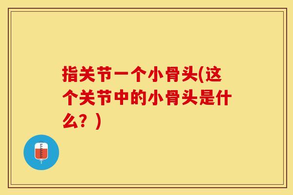 指关节一个小骨头(这个关节中的小骨头是什么？)
