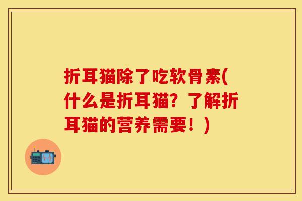 折耳猫除了吃软骨素(什么是折耳猫？了解折耳猫的营养需要！)